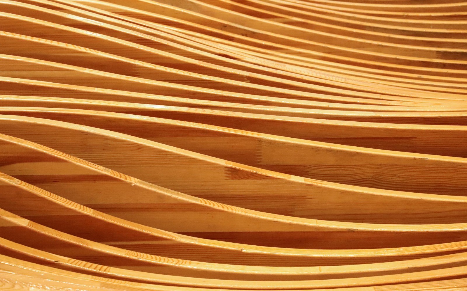 Фото: Unsplash